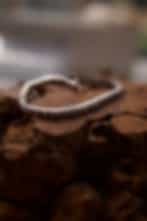 Classic Diamond Tennis Bracelet in White Gold