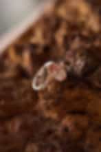 Pink-Brown Oval-Cut Diamond Ring with White Diamond Accents